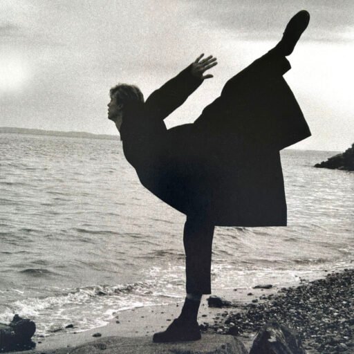 print_Bird-Vladimir Malakhov-Nina Alovert_(600pix 42cm)