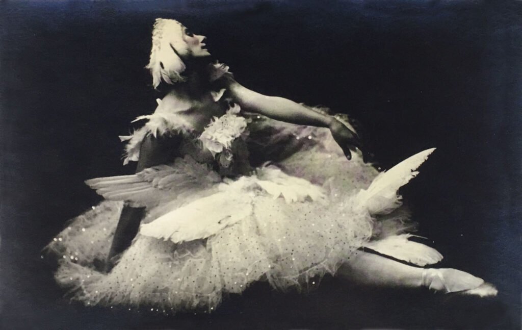 print-(600pix 42cm) Pavlova Dying Swan