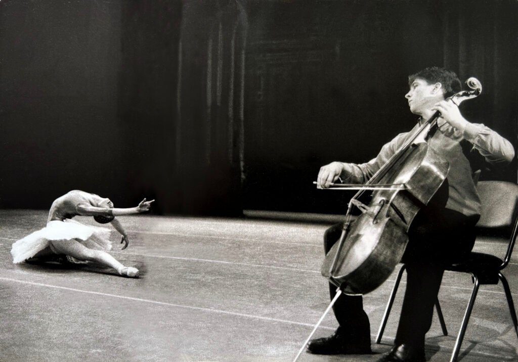 print_Dying Swan Makhalina_(600pix 42cm)