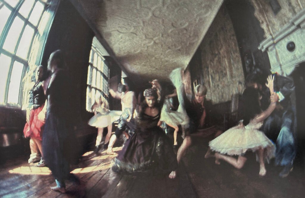 print_Fenton Swan Lake_(600pix 42cm)